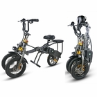 3 Wheel Electric Scooter Bicycle , Adult Foldable Electric Tricycle 3 Speed 350W