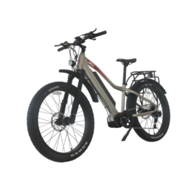 E Bike 26-calowy 48v 1000w Rower elektryczny 26-calowy rower elektryczny Silny Off Road