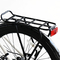 Elektryczny miejski rower szosowy o dużej mocy 25 km / h o mocy 750 W, dwukołowy o dużej mocy