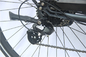 12-calowy przenośny rower elektryczny Fat Tire dla 350 Lb 400 Lb Person 200 W E Bike