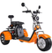 3-kołowy skuter elektryczny Citycoco 2000w Big Wheel 500 Lbs 400 Lbs