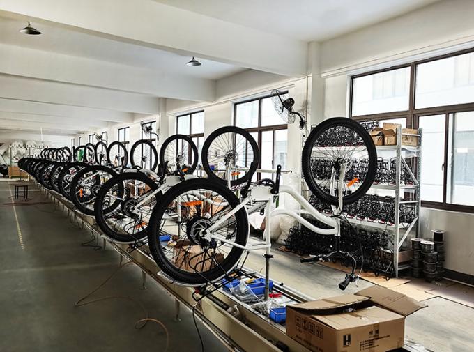 12-calowy przenośny rower elektryczny Fat Tire dla 350 Lb 400 Lb Person 200 W E Bike 11