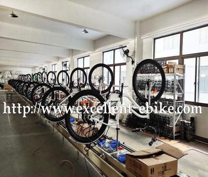 3-kołowy elektryczny rower trójkołowy Mobilność skuter Fat Tire Street Legal 26