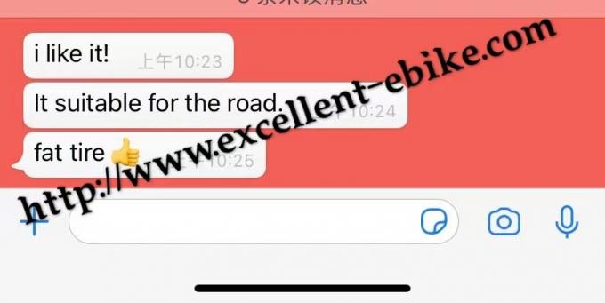 3-kołowy elektryczny rower trójkołowy Mobilność skuter Fat Tire Street Legal 43