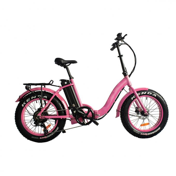 Wspomagaj elektryczne rowery z grubymi oponami dla dorosłych Hunting Cruiser Snow Tall Riders 48V10.4Ah 5