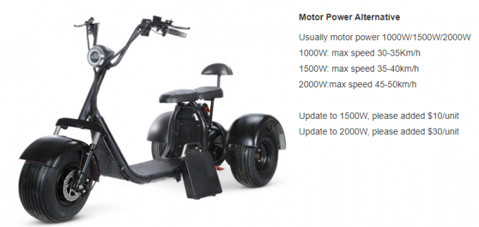 3-kołowy elektryczny rower trójkołowy Mobilność skuter Fat Tire Street Legal 6