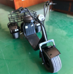 3-kołowy elektryczny rower trójkołowy Mobilność skuter Fat Tire Street Legal 8