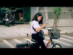 250w niski koszt 48v wyświetlacz lcd miejski elektryczny rower terenowy ue 20-calowy rower elektryczny 36V