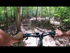 Silnik elektryczny z piastą o mocy 250 W i 750 W, rower elektryczny z grubą oponą 29 w Chinach