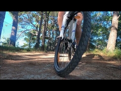 Rothar Leictreach magazyn w UE wysokiej jakości rower elektryczny cena niska rower elektryczny z akumulatorem 36 V