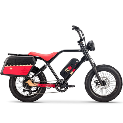 250W 750w Elektrische Fiets Bateria rowerowa 48v 20AH Gruba opona dla dorosłych